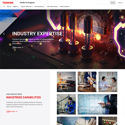 Toshiba- Web Development