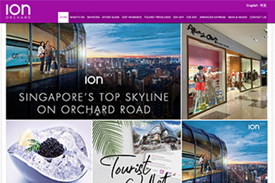 ION Orchard - Web Development