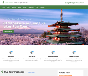 Silver Horizon Travel
